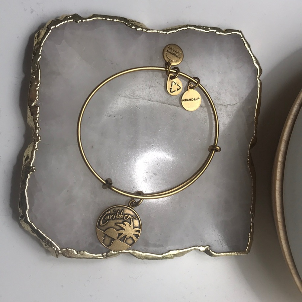 Alex and Ani Bracelet - Caribbean